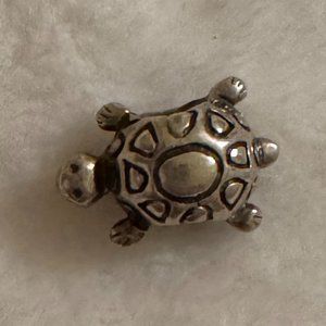 Pandora Turtle Charm